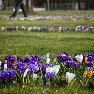 DSC 7784-2 DSC 7784-2