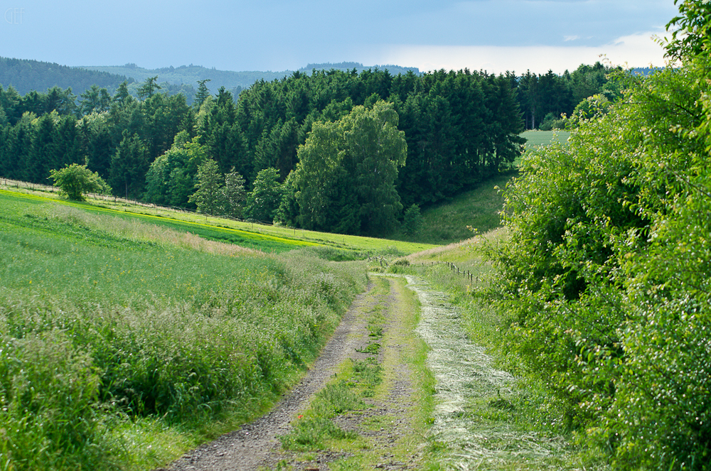 Rad-Wandern im Landkreis Göttingen (Altkreis Osterode)