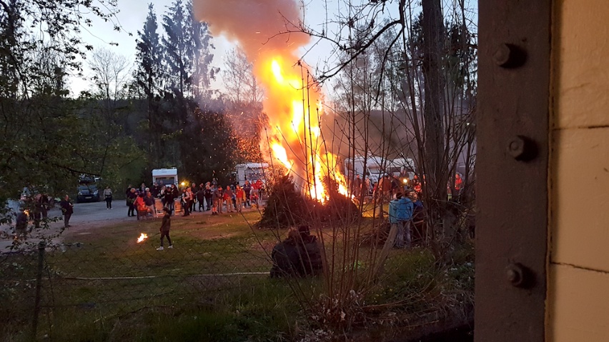 Kleine Fackelschwinger