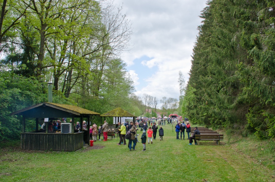 Eulenburg Gelände Osteroder Stadtwaldlauf Fotos 