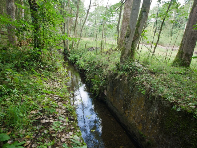 Zelten an der Wehrwiese