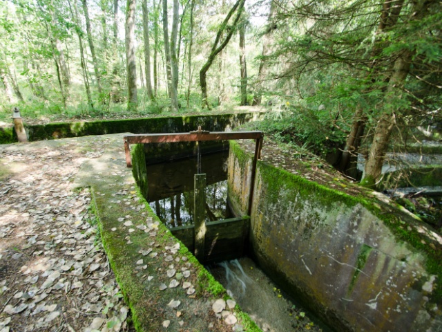 Wehr am historischen Wassergraben