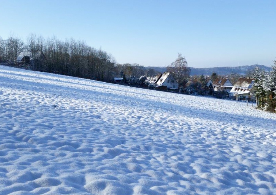 Rodelwiese am Fuchshaller Berg